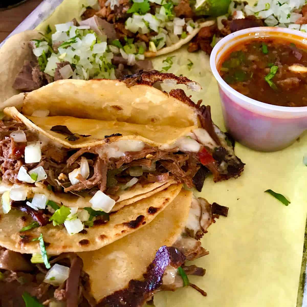 Birria Taco at Tacos El Patron