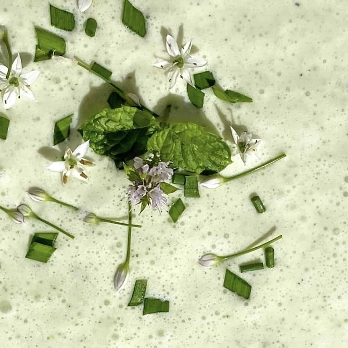 A close up of cucumber Gazpacho