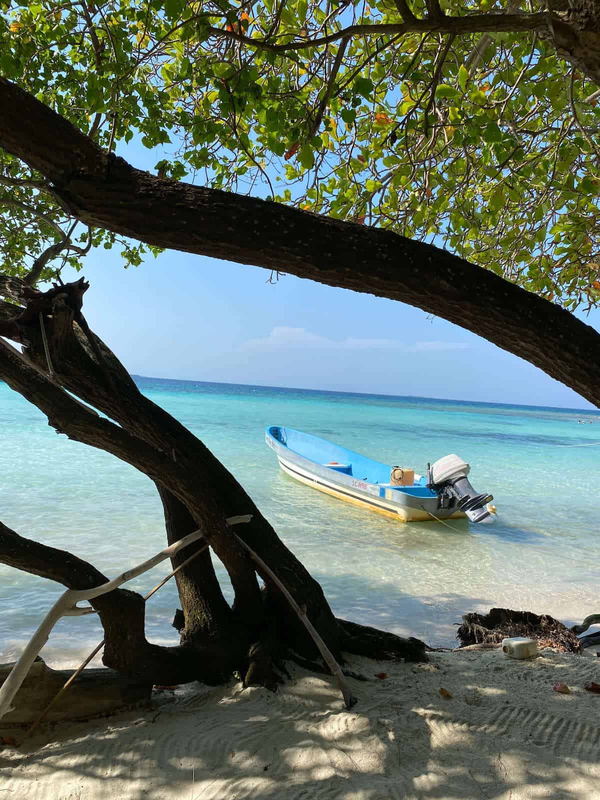 Belize Moho Caye 