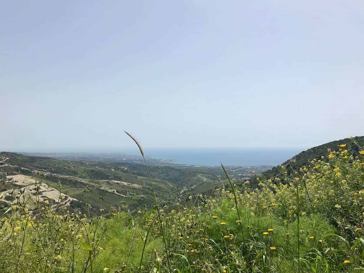 A close up of a hillside next to a body of water.