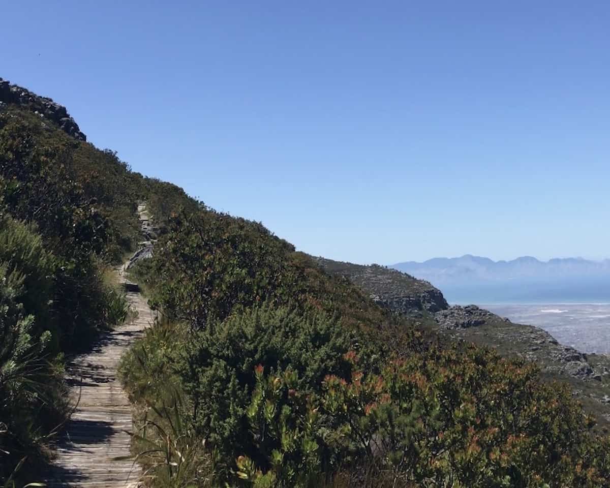 The path along Table Mountain in South Africa. 