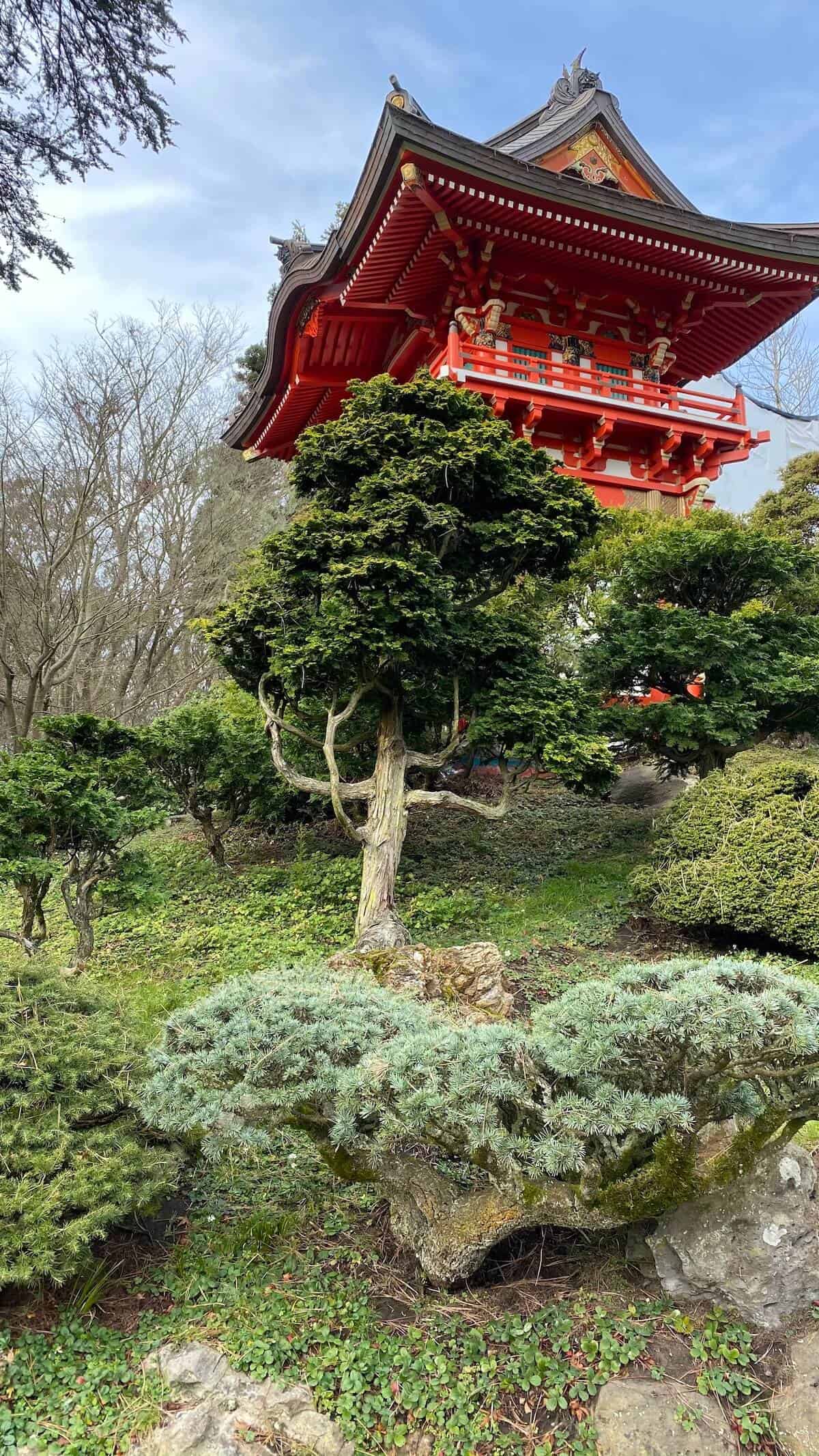 The pagoda at the Japanese Tea Garden in Golden Gate Park