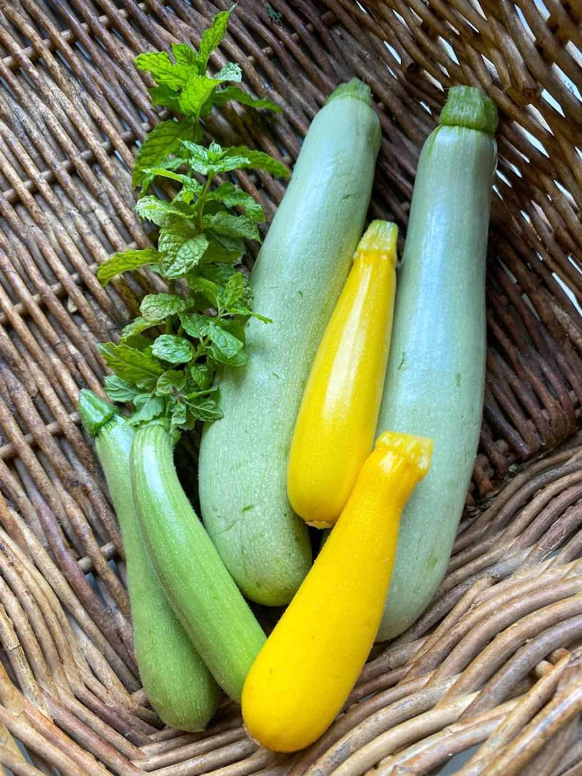 fresh courgettes and mint 