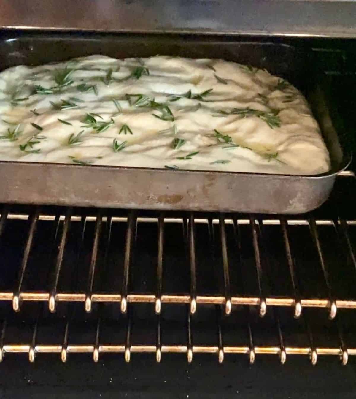 bake the focaccia in a hot oven
