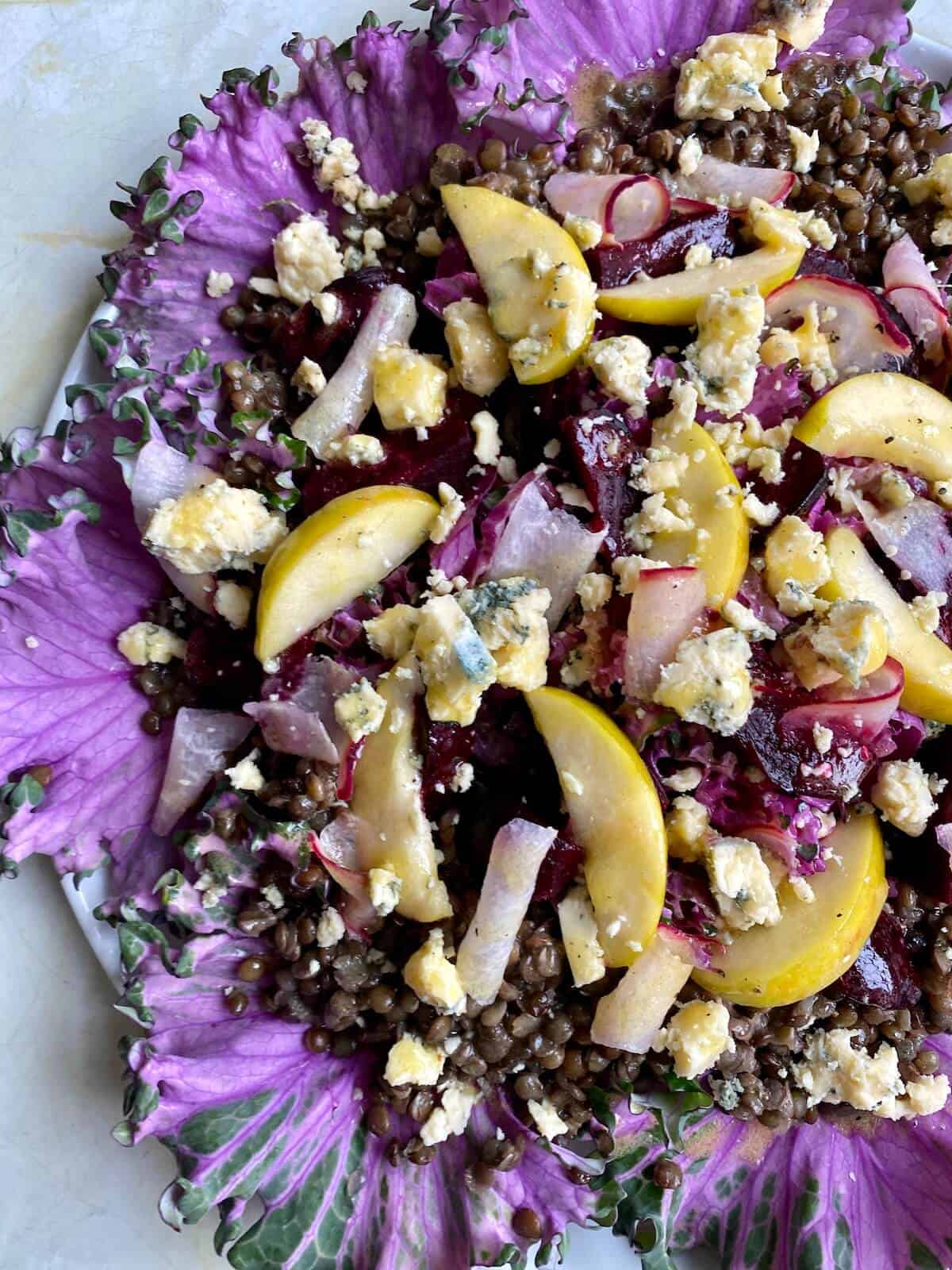 Purple_Kale_and_Puy_Lentil_Salad_With_Apple_Oven_Roasted_Beets_and_Crumbled_BlueCheese_