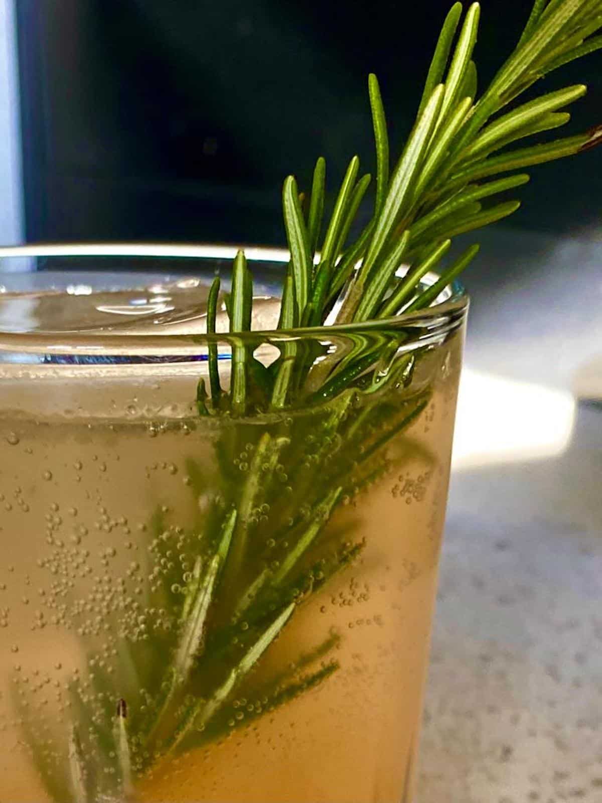 Rosemary garnish in the cocktail 