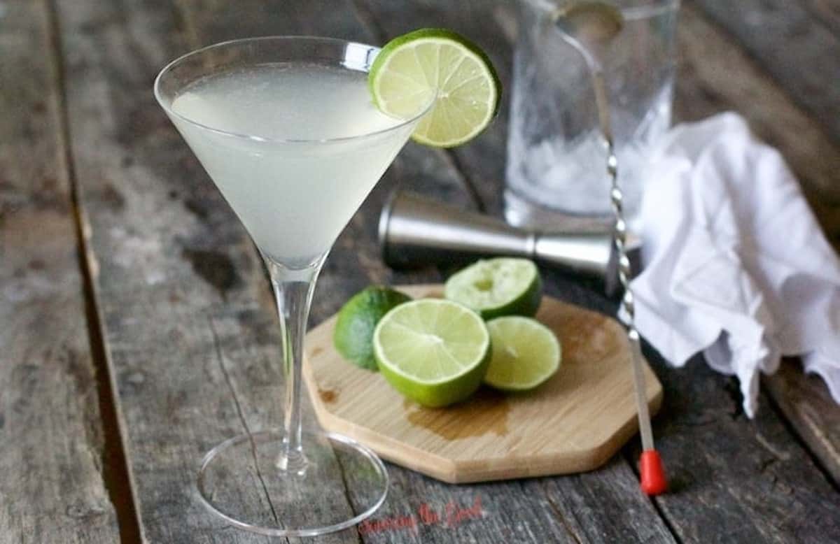Gimlet cocktail in a martini glass 