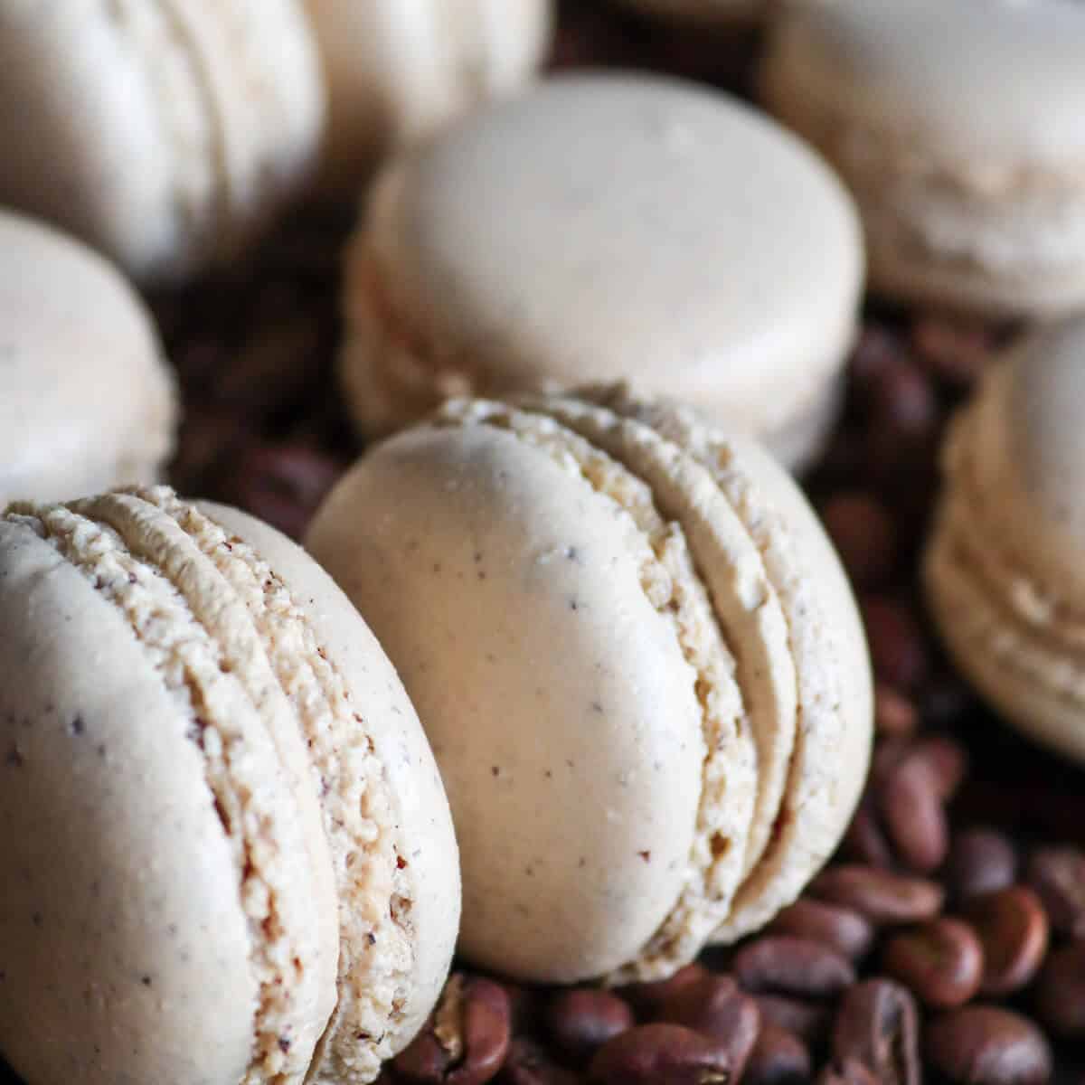 Hazelnut coffee macarons on a bed of coffee beans.