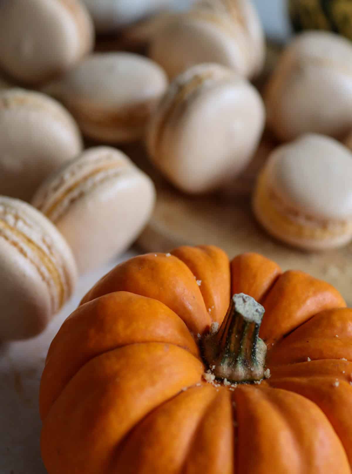 A miniature pumpkin surrounded by macarons. 