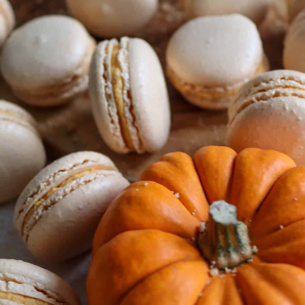 Pumpkin cheesecake fall macarons on their sides showing their filling.