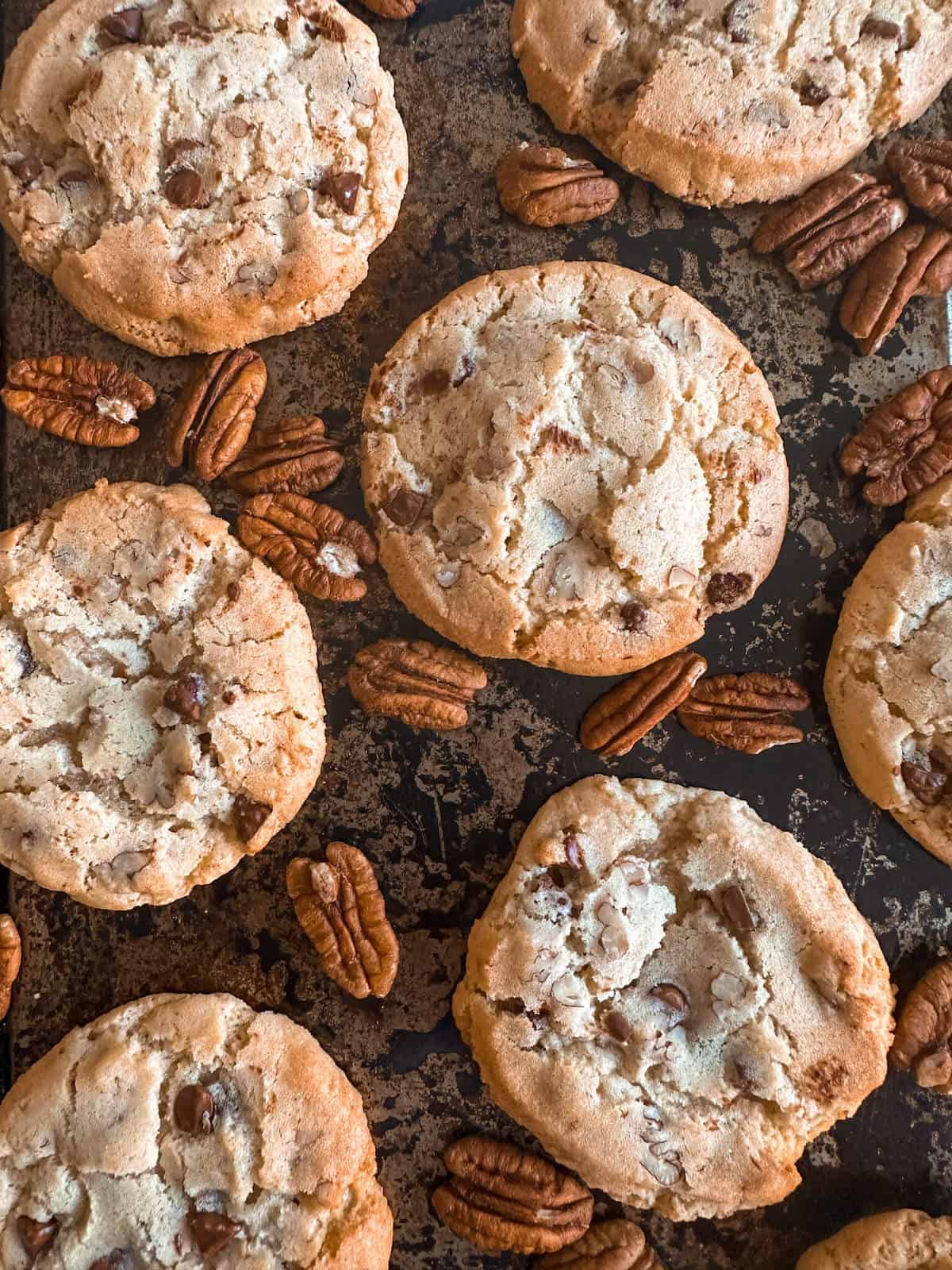 Brown butter pecan cookies with chocolate chips on a baking tray.