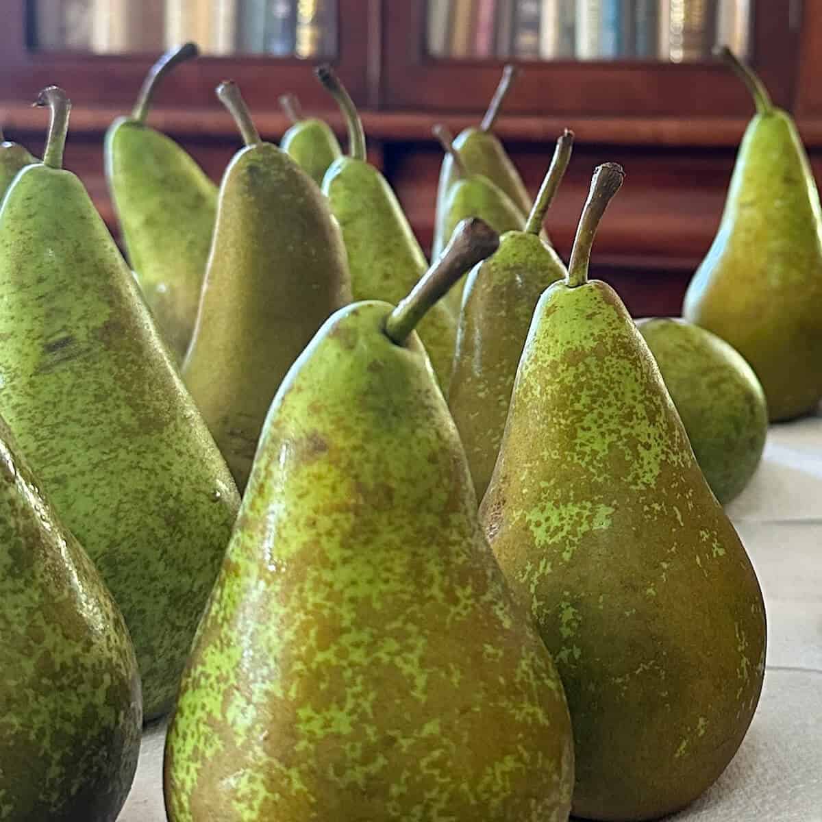 A tray full of pears. 