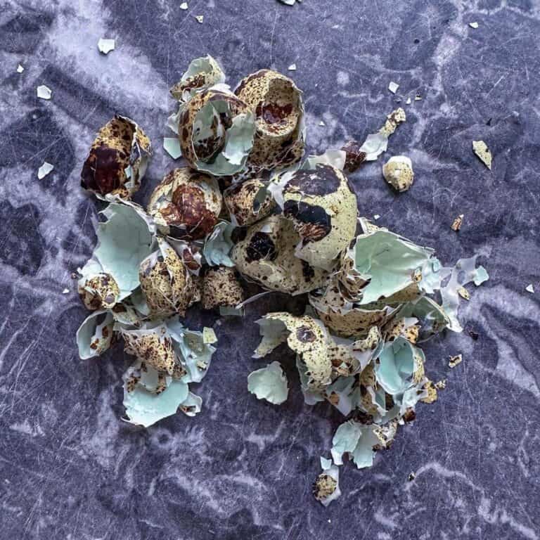 How Long To Boil Quail Eggs & How To Serve Them - Rosanna ETC