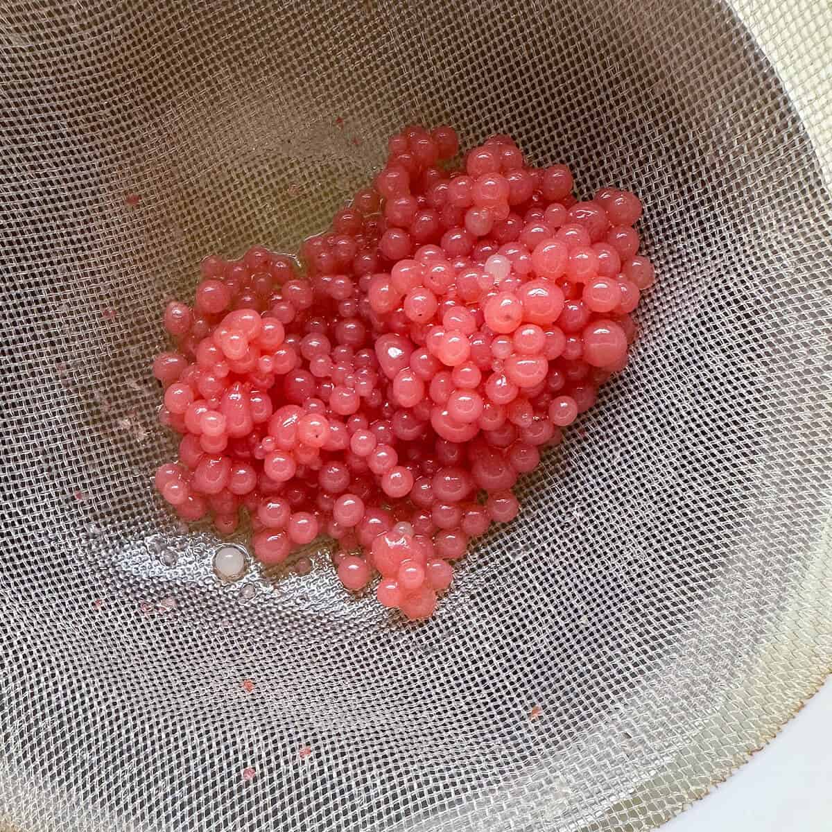 A sieve containing fruit caviar made from agar agar powder and fruit puree. 