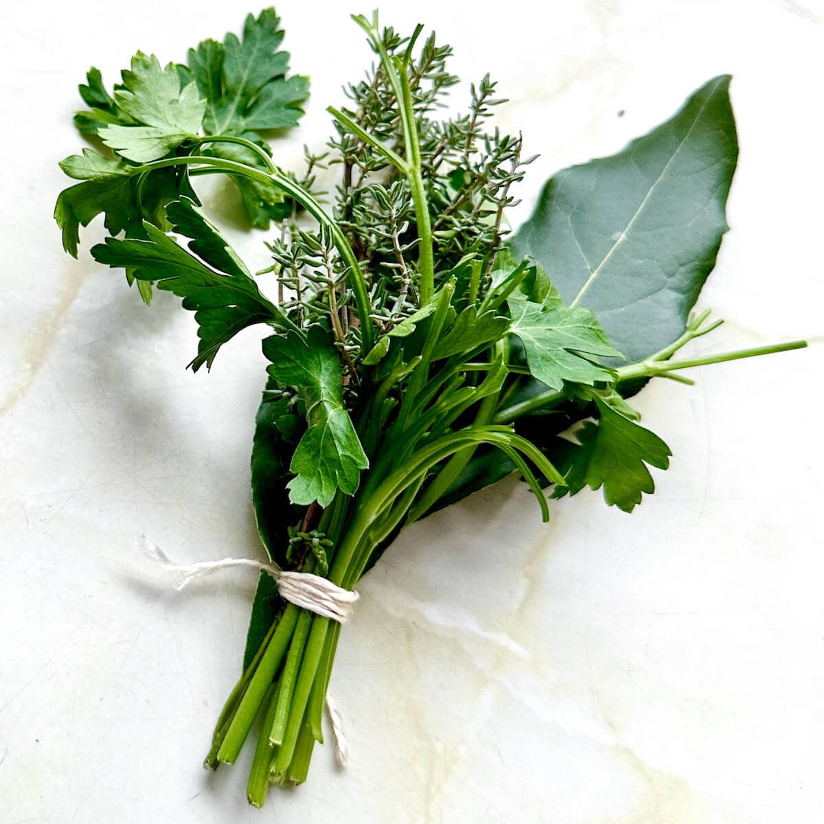 A bouquet garni of herbs, made of bay leaves, parsley and thyme. 