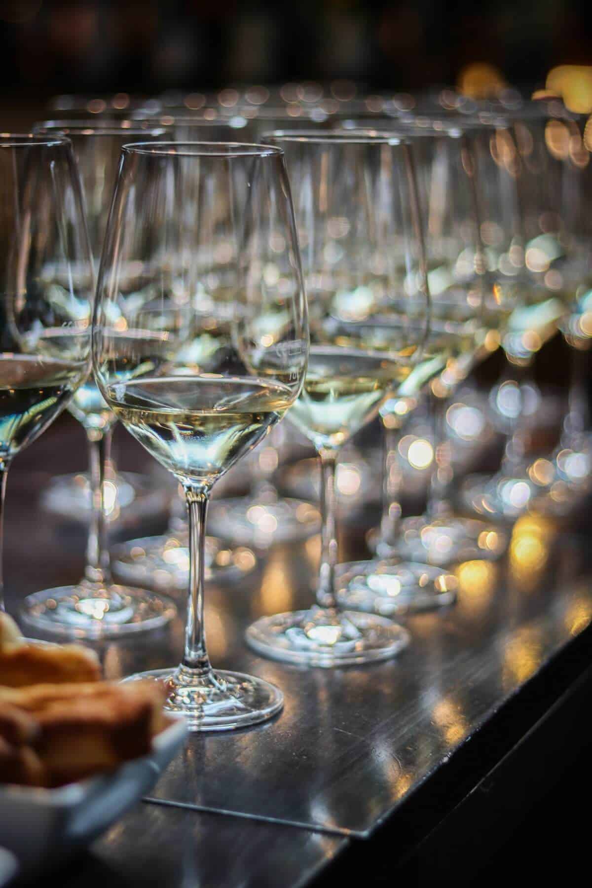 Wine glasses filled with tasting measures of white wine at a wine tasting. 