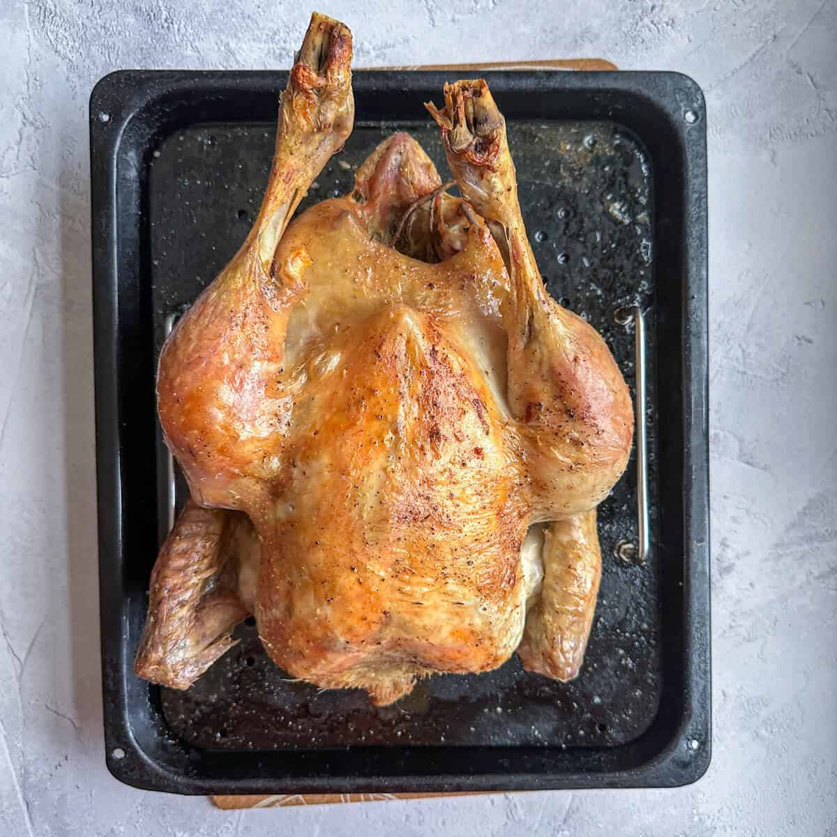 Roasted capon with golden brown crispy skin on a roasting tray. 