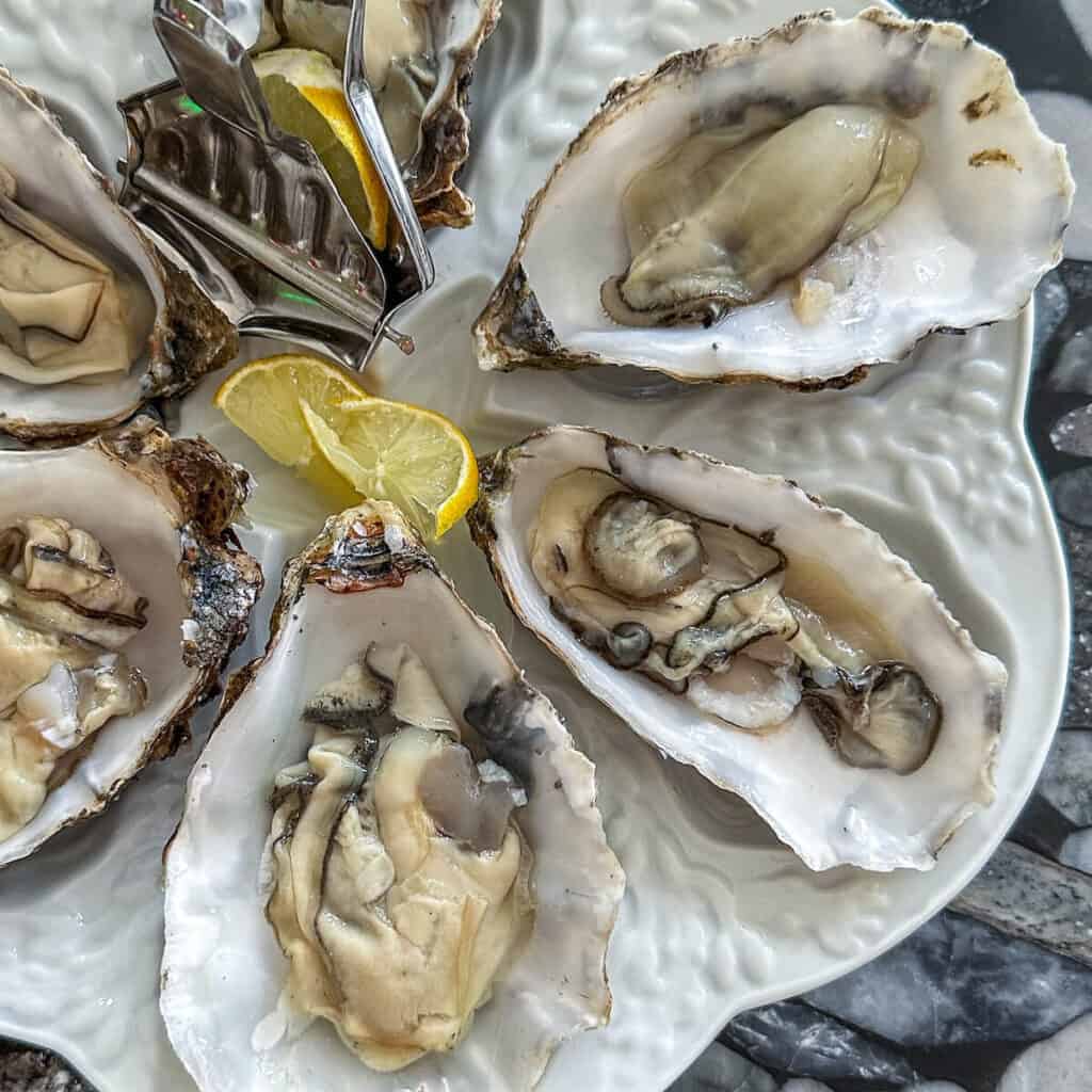 The Ultimate Guide To Serving Fresh Oysters At Home - Rosanna ETC