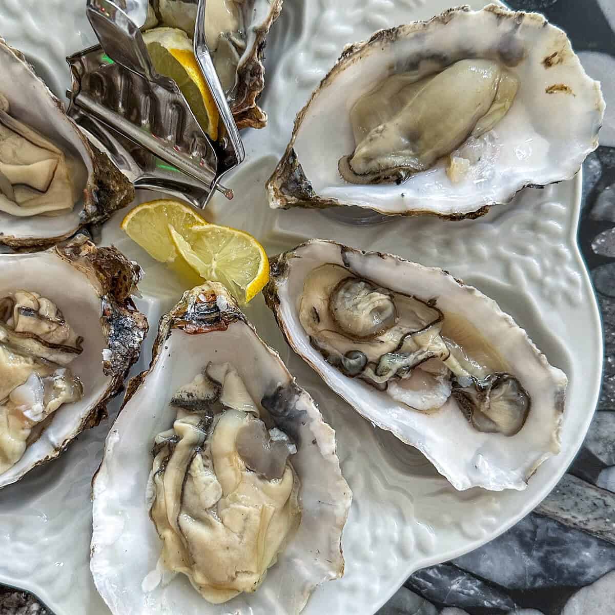 Fresh oysters with lemon wedges on a serving platter. 
