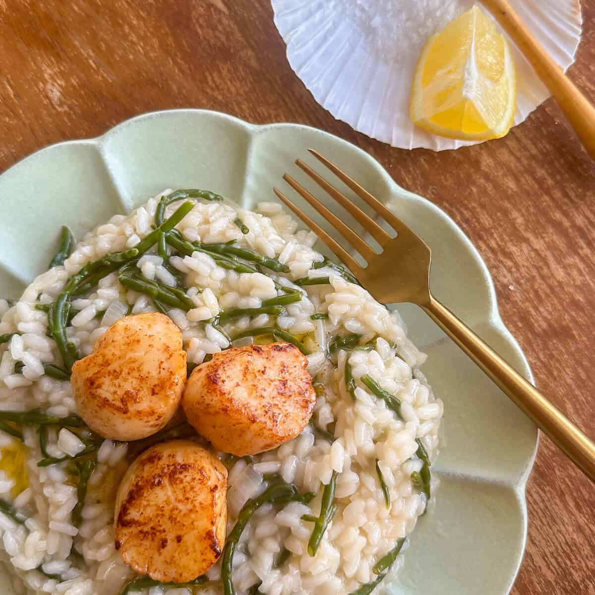 Samphire risotto on a plate topped with three seared scallops.