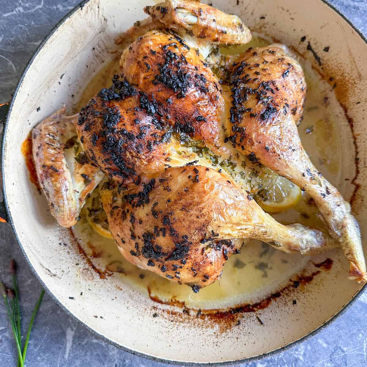 Roasted citrus herb spatchcock chicken in a cast iron pan.