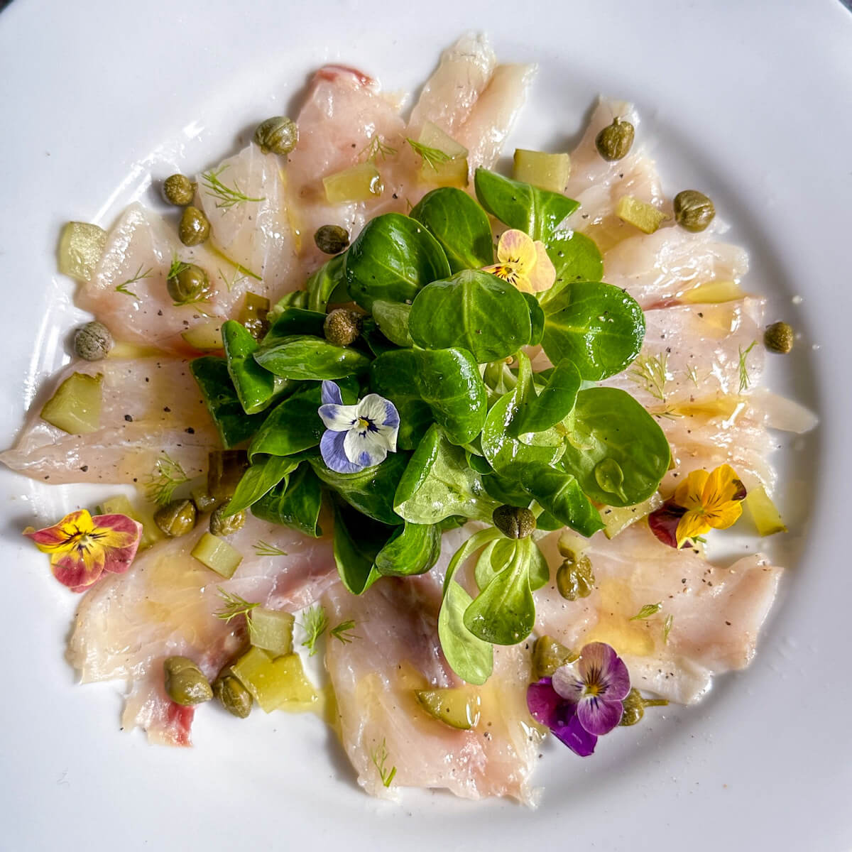 White fish carpaccio on a plate with green salad and edible flowers.