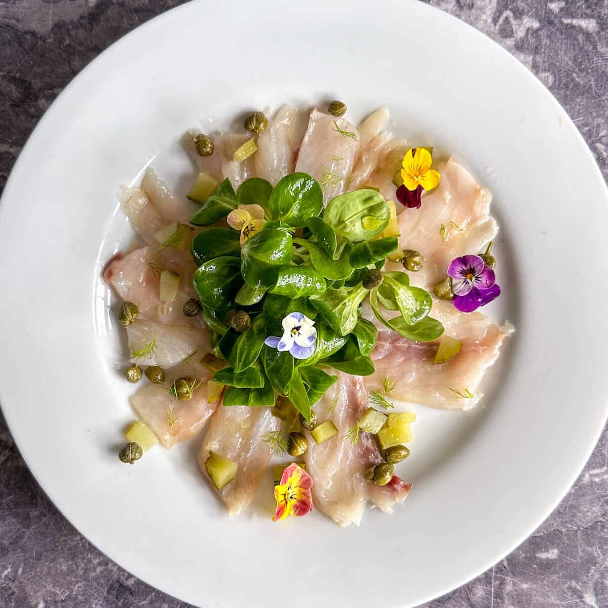 A white plate of green salad and slices of seabass carpaccio. 