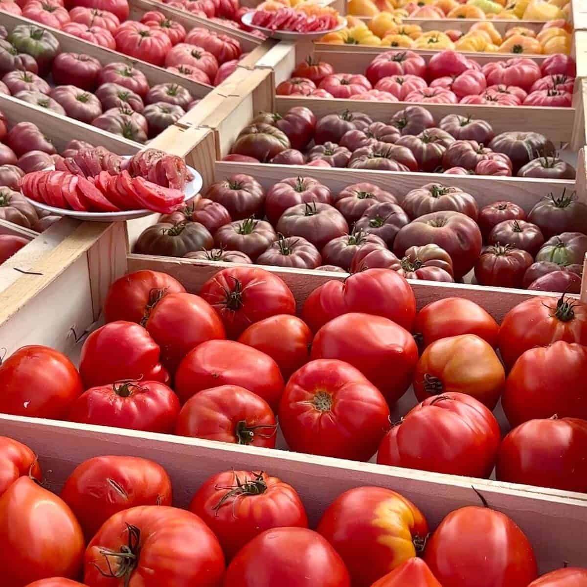 Boxes of fresh tomatoes at a market in Provence.