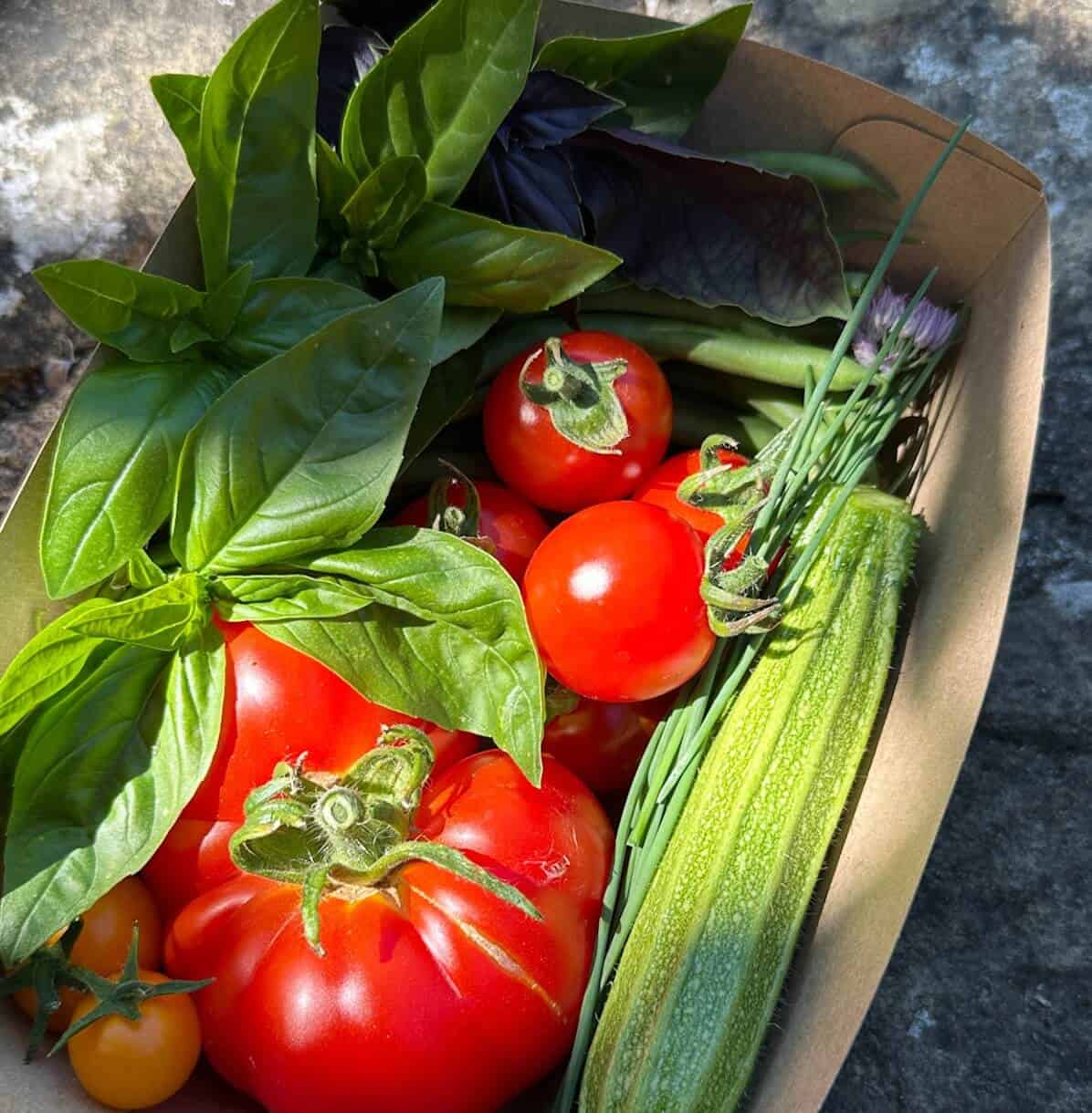 A punnet of fresh tomatoes and basil.