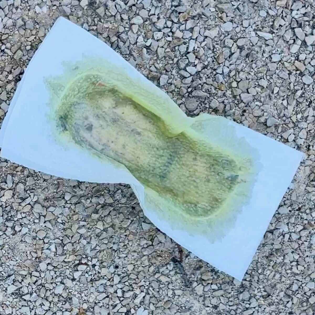 A tin of fish with a paper towel on top soaked in oil.